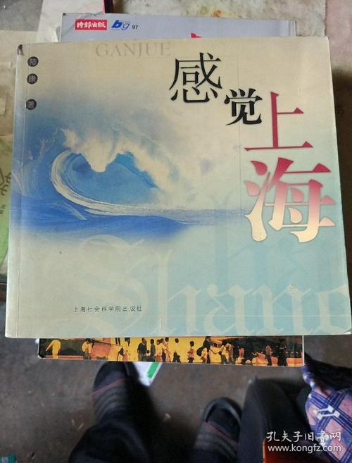 上海夜网1_上海夜网sz_夜上海论坛怎么样