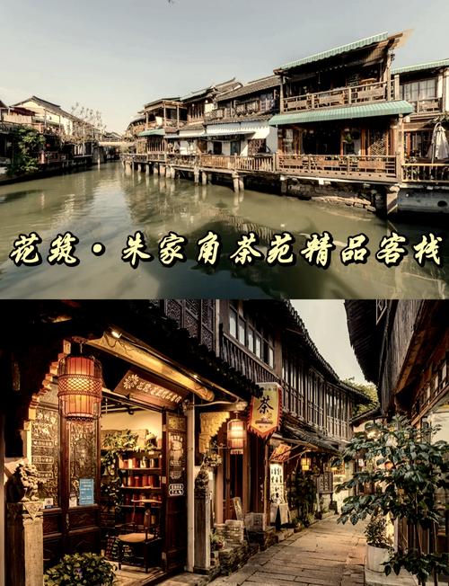 上海品茶体验网点地址_上海品茶网体验_上海品茶体验网官网
