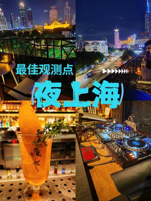 上海指南_上海指南猫网络科技有限公司_夜上海论坛指南
