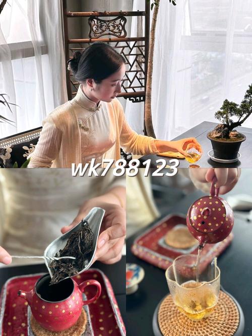 上海品茶网怎么样_上海最新品茶网_上海品茶app