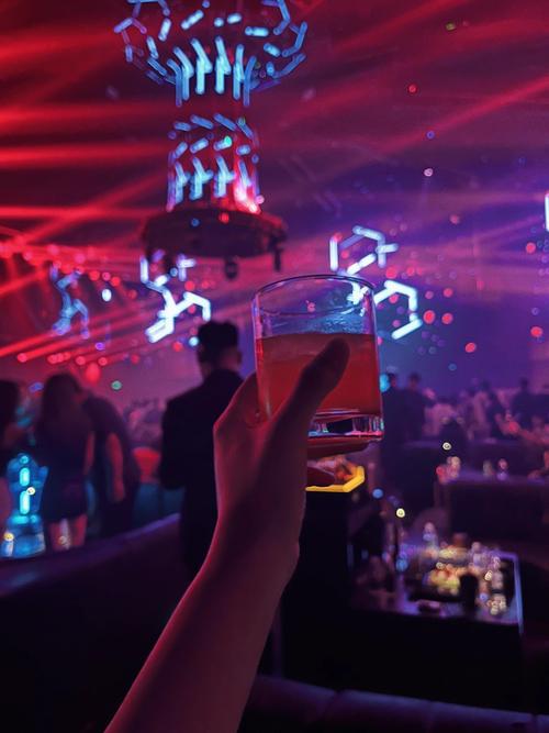 上海夜生活斑斓迷人，其好坏需多维度全面考量探讨