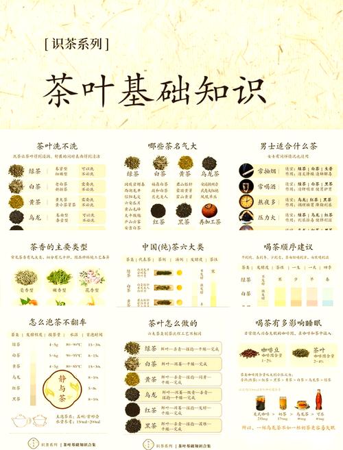 上海品茶是什么意思_上海品茶app_上海品茶网指南